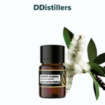 Cajuput (Papua) / Kayu Putih (Papua) Essential Oil Pure 100%, 2-10ML GS