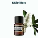 Cajuput (Sumatra) / Kayu Putih Aceh Essential Oil Pure 100%, 2-10ML GS