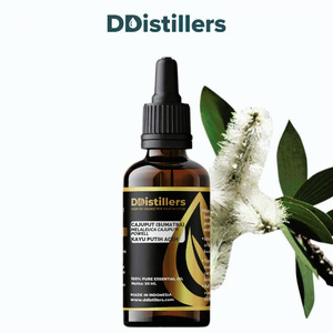 Cajuput (Sumatra) / Kayu Putih Aceh Essential Oil Pure 100%, 50-100ML GS