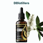Cajuput (Sumatra) / Kayu Putih Aceh Essential Oil Pure 100%, 50-100ML GS