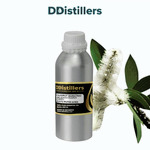 Cajuput (Sumatra) / Kayu Putih Aceh Essential Oil Pure 100%, 500ML-1L HDPE/SS