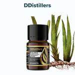 Calamus / Sweet Flag / Jerangau / Dlingo Essential Oil Pure 100%, 2-10ML GS