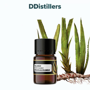 Calamus / Sweet Flag / Jerangau / Dlingo Essential Oil Pure 100%, 2-10ML GS