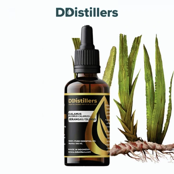 Calamus / Sweet Flag / Jerangau / Dlingo Essential Oil Pure 100%, 50-100ML GS