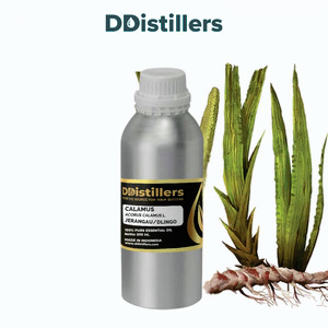 Calamus / Sweet Flag / Jerangau / Dlingo Essential Oil Pure 100%, 500ML-1L HDPE/SS