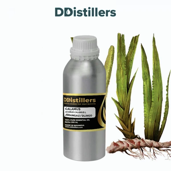 Calamus / Sweet Flag / Jerangau / Dlingo Essential Oil Pure 100%, 500ML-1L HDPE/SS