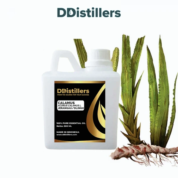 Calamus / Sweet Flag / Jerangau / Dlingo Essential Oil Pure 100%, 500ML-1L HDPE/SS