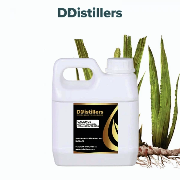Calamus / Sweet Flag / Jerangau / Dlingo Essential Oil Pure 100%, 500ML-1L HDPE/SS
