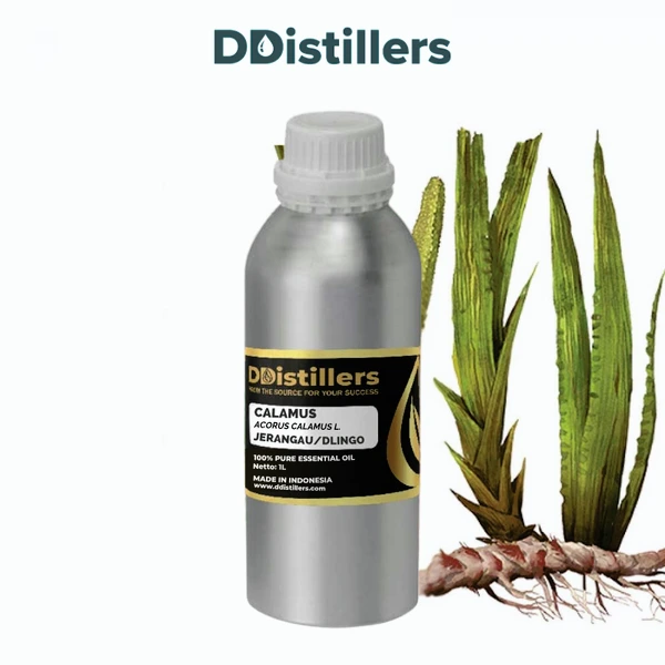Calamus / Sweet Flag / Jerangau / Dlingo Essential Oil Pure 100%, 500ML-1L HDPE/SS