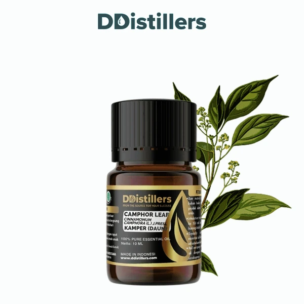 Camphor Leaf / Daun Kamper Essential Oil Pure 100%, 2-10ML GS
