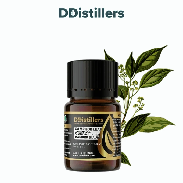 Camphor Leaf / Daun Kamper Essential Oil Pure 100%, 2-10ML GS