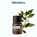Camphor Leaf / Daun Kamper Essential Oil Pure 100%, 2-10ML GS