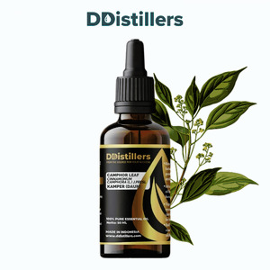 Camphor Leaf / Daun Kamper Essential Oil Pure 100%, 50-100ML GS
