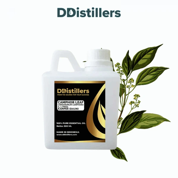 Camphor Leaf / Daun Kamper Essential Oil Pure 100%, 500ML-1L HDPE/SS
