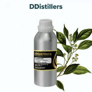Camphor Leaf / Daun Kamper Essential Oil Pure 100%, 500ML-1L HDPE/SS