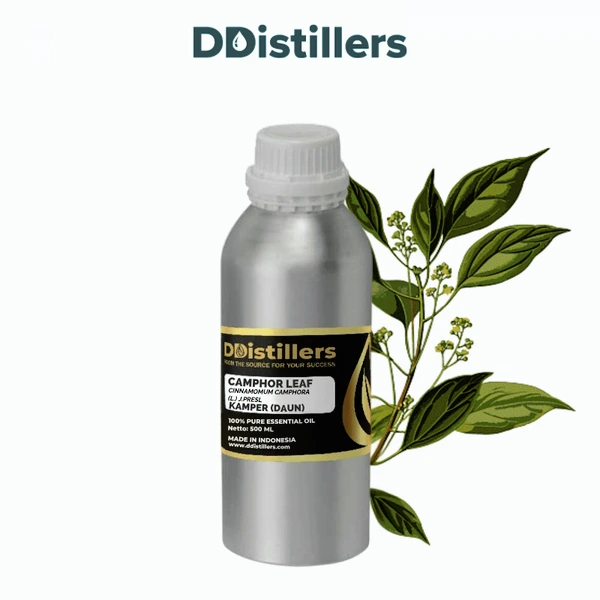 Camphor Leaf / Daun Kamper Essential Oil Pure 100%, 500ML-1L HDPE/SS