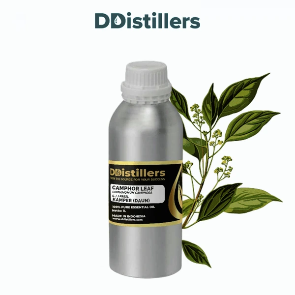 Camphor Leaf / Daun Kamper Essential Oil Pure 100%, 500ML-1L HDPE/SS