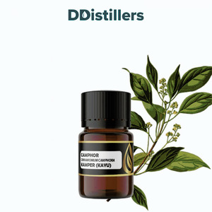 Camphor Wood / Kayu Kamper Essential Oil Pure 100%, 2-10ML GS