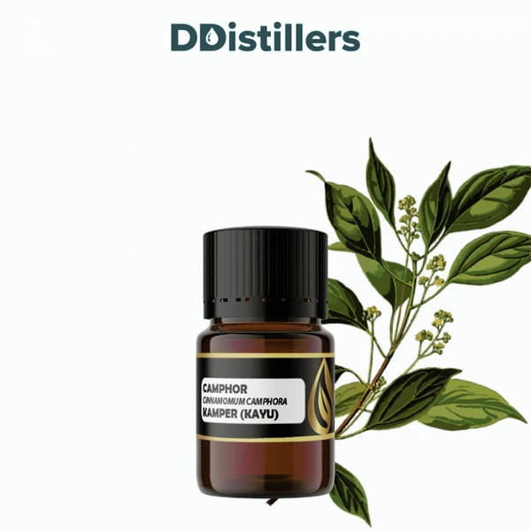 Camphor Wood / Kayu Kamper Essential Oil Pure 100%, 2-10ML GS
