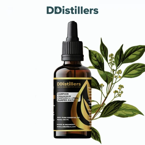 Camphor Wood / Kayu Kamper Essential Oil Pure 100%, 50-100ML GS
