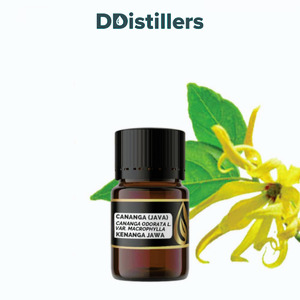 Cananga (Java) / Kenanga Jawa Essential Oil Pure 100%, 2-10ML GS