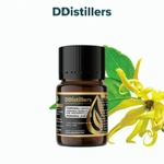 Cananga (Java) / Kenanga Jawa Essential Oil Pure 100%, 2-10ML GS