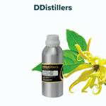 Cananga (Java) / Kenanga Jawa Essential Oil Pure 100%, 500ML-1L HDPE/SS