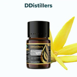 Cananga (Garden) / Kenanga Tumpuk Essential Oil Pure 100%, 2-10ML GS