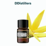 Cananga (Garden) / Kenanga Tumpuk Essential Oil Pure 100%, 2-10ML GS
