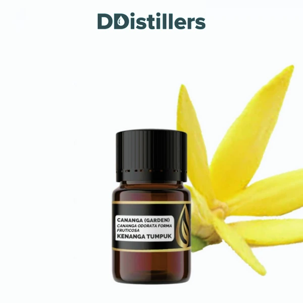 Cananga (Garden) / Kenanga Tumpuk Essential Oil Pure 100%, 2-10ML GS
