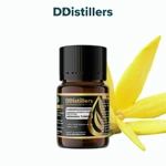 Cananga (Garden) / Kenanga Tumpuk Essential Oil Pure 100%, 2-10ML GS