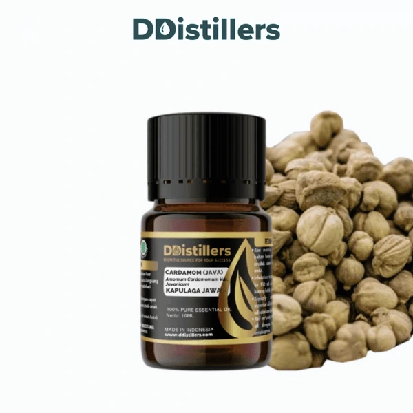 Cardamom (Java) / Kapulaga Essential Oil Pure 100%, 2-10ML GS