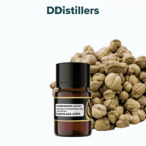 Cardamom (Java) / Kapulaga Essential Oil Pure 100%, 2-10ML GS