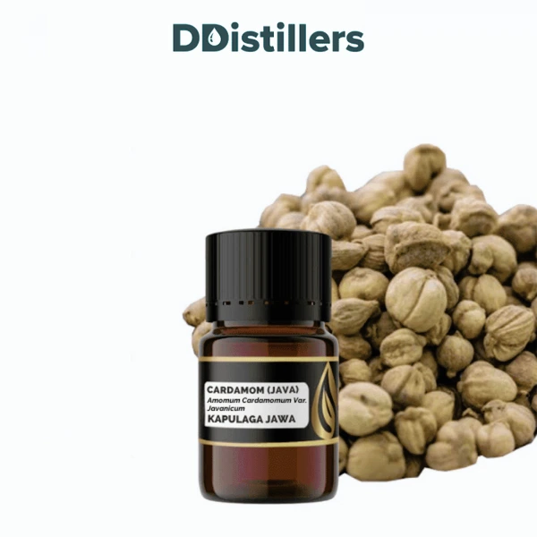 Cardamom (Java) / Kapulaga Essential Oil Pure 100%, 2-10ML GS