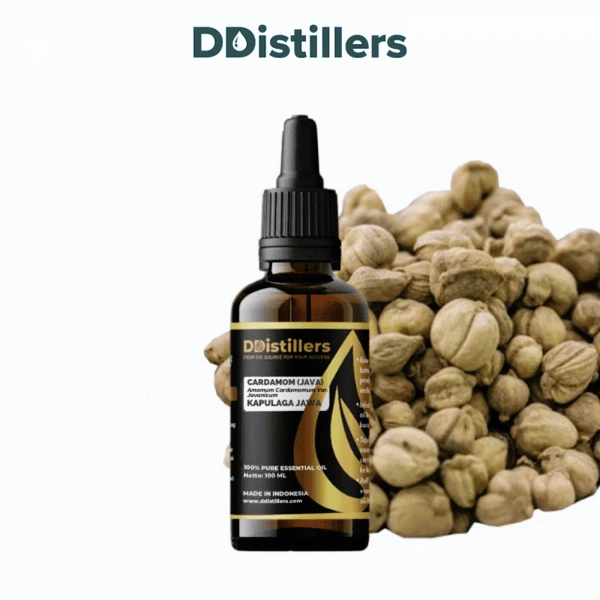 Cardamom (Java) / Kapulaga Essential Oil Pure 100%, 50-100ML GS
