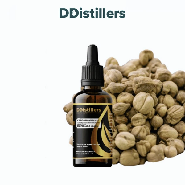 Cardamom (Java) / Kapulaga Essential Oil Pure 100%, 50-100ML GS