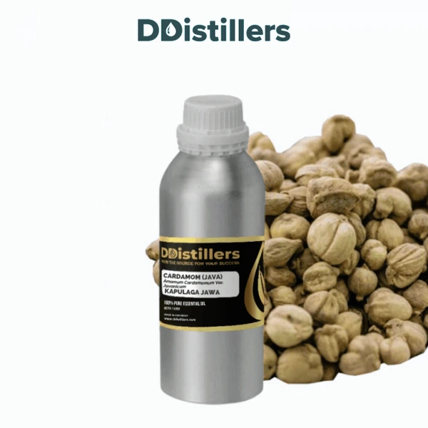 Cardamom (Java) / Kapulaga Essential Oil Pure 100%, 500ML-1L HDPE/SS