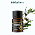 Cedarwood (Virginia) / Cemara Virginia Essential Oil Pure 100%, 2-10ML GS