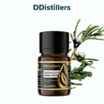 Cedarwood (Virginia) / Cemara Virginia Essential Oil Pure 100%, 2-10ML GS