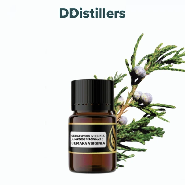 Cedarwood (Virginia) / Cemara Virginia Essential Oil Pure 100%, 2-10ML GS