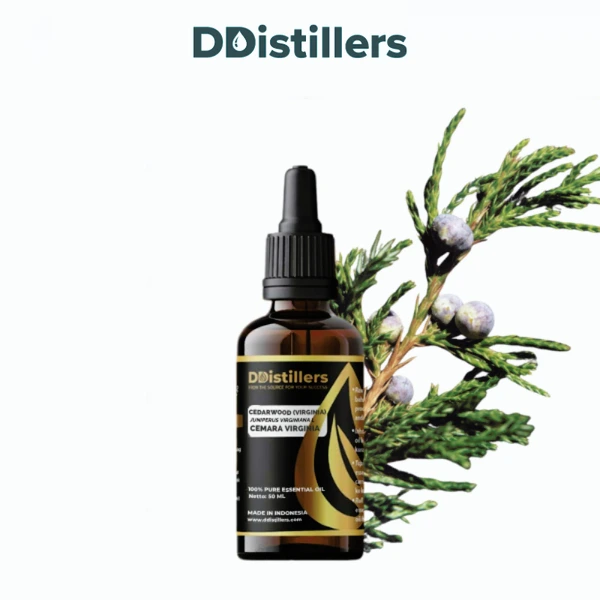Cedarwood (Virginia) / Cemara Virginia Essential Oil Pure 100%, 50-100ML GS