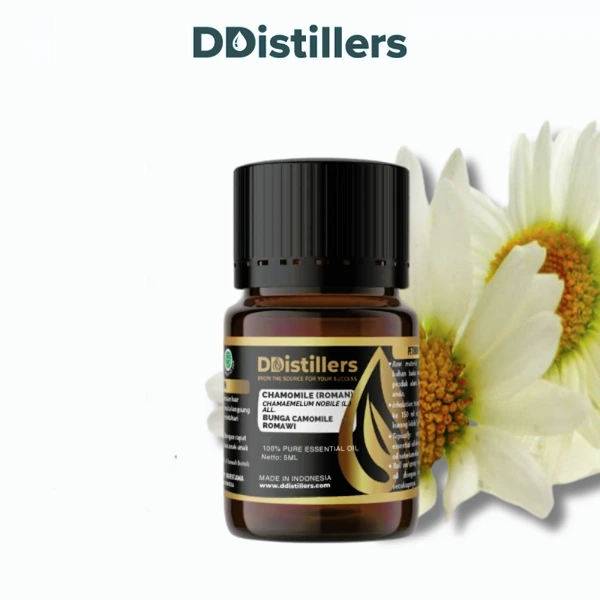 Chamomile (Roman) / Bunga Camomile Romawi Essential Oil Pure 100%, 2-10ML GS