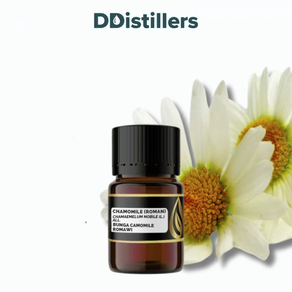 Chamomile (Roman) / Bunga Camomile Romawi Essential Oil Pure 100%, 2-10ML GS