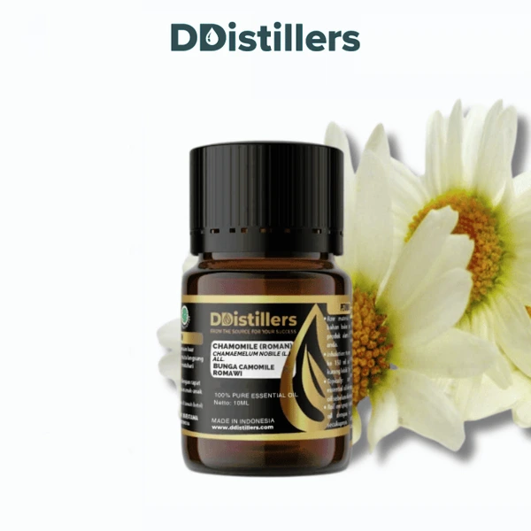 Chamomile (Roman) / Bunga Camomile Romawi Essential Oil Pure 100%, 2-10ML GS