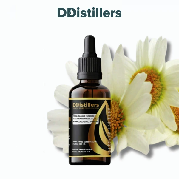Chamomile (Roman) / Bunga Camomile Romawi Essential Oil Pure 100%, 50-100ML GS