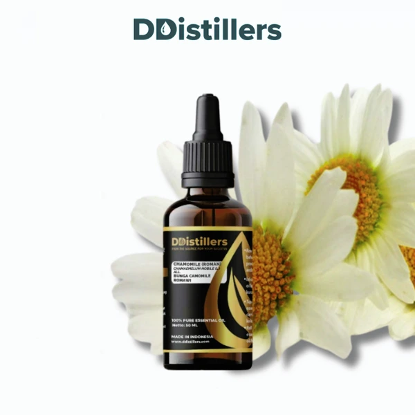 Chamomile (Roman) / Bunga Camomile Romawi Essential Oil Pure 100%, 50-100ML GS
