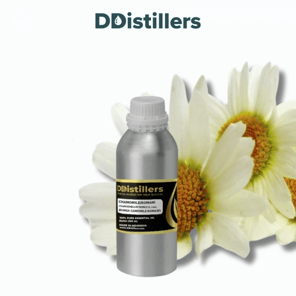 Chamomile (Roman) / Bunga Camomile Romawi Essential Oil Pure 100%, 500ML-1L HDPE/SS