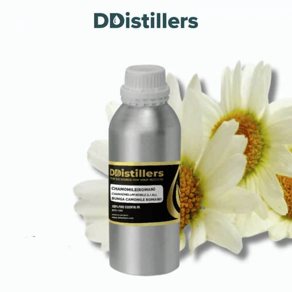 Chamomile (Roman) / Bunga Camomile Romawi Essential Oil Pure 100%, 500ML-1L HDPE/SS