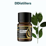 Cinnamon Leaf Korintje / Daun Kayu Manis Kerinci Essential Oil Pure 100%, 2-10ML GS