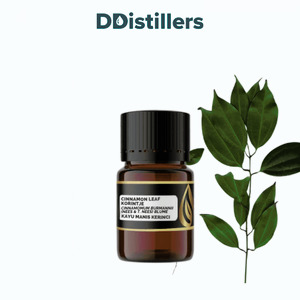Cinnamon Leaf Korintje / Daun Kayu Manis Kerinci Essential Oil Pure 100%, 2-10ML GS